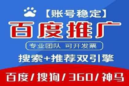 成功案例解读：SEM推广代运营策略